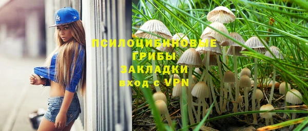 стафф Бородино