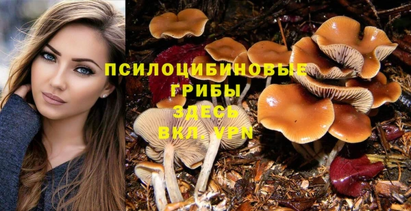стафф Бородино
